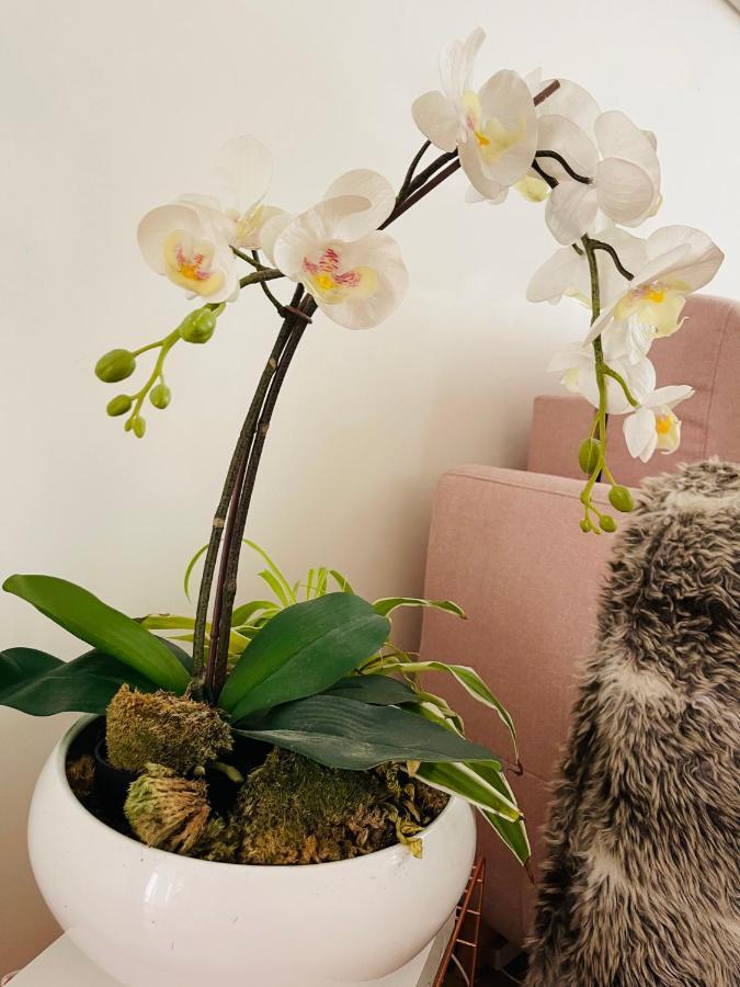 Le Nid Douillet De Patricia Appartement Parijs Buitenkant foto